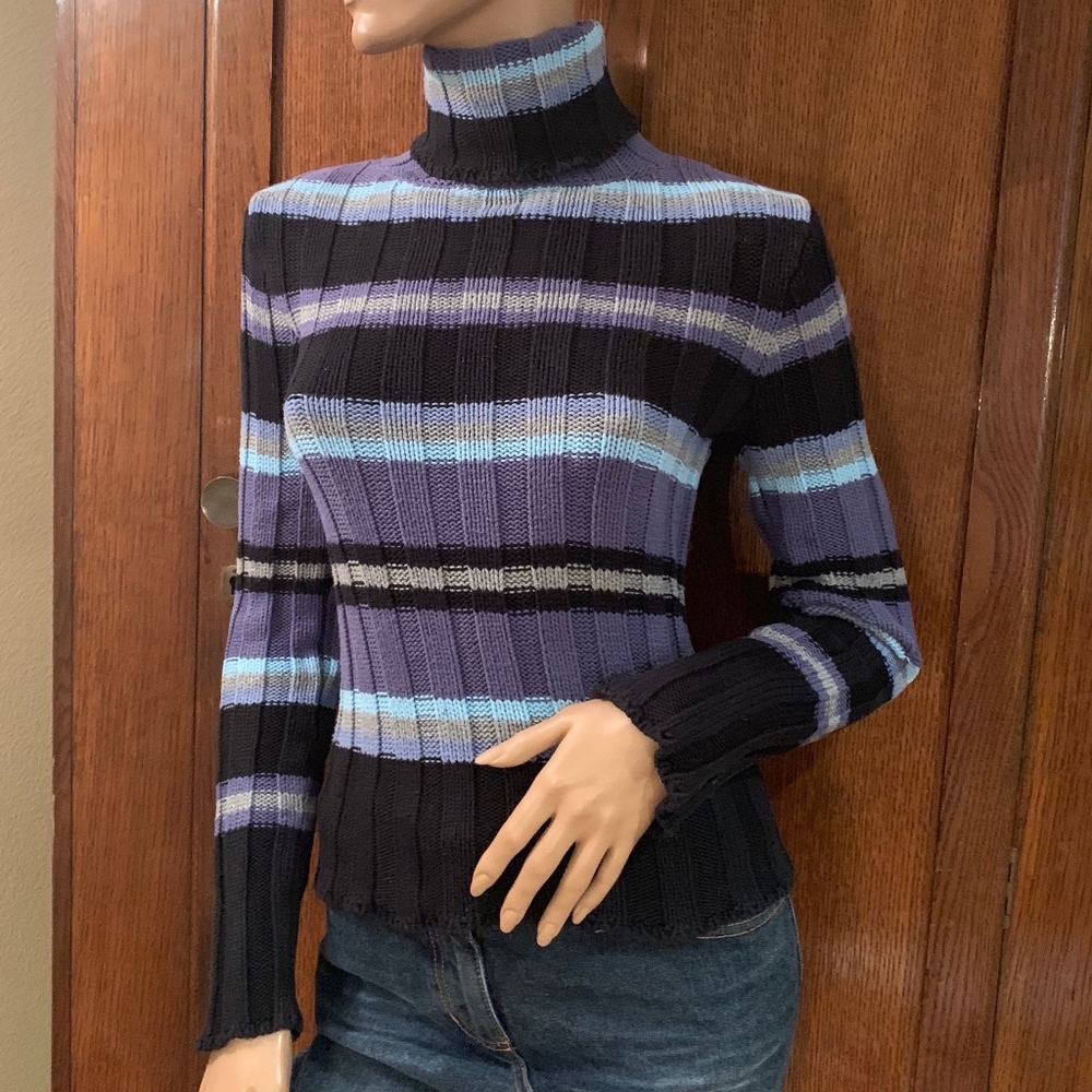 Turtleneck stripe sweater-Nordstrom
